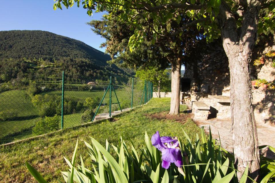 Casa Rural Baro Tornafort エクステリア 写真